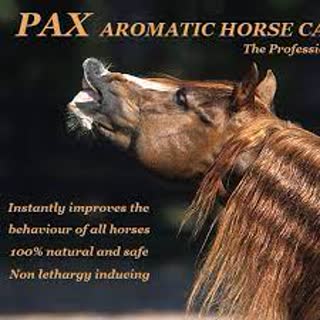 pax natural horse calmer non-sedating